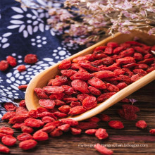 Baies de goji sèches naturelles 100% pures certifiées biologiques d&#39;origine chinoise